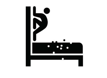 BED BUG INFORMATION