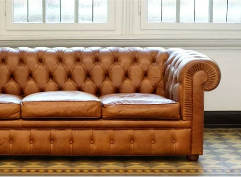 Can bed bugs live on a leather couch