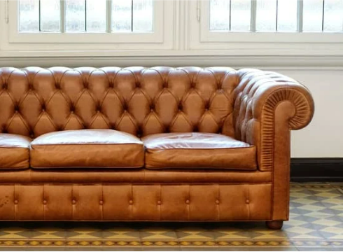 CAN BED BUGS LIVE ON A LEATHER COUCH