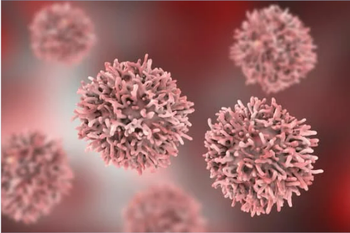 BED BUGS AND DISEASE