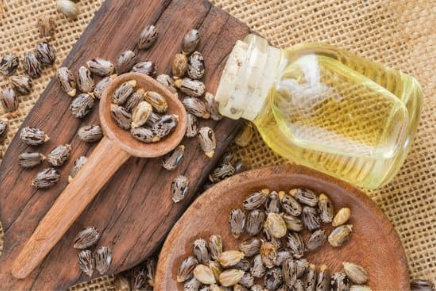 Do I spray castor oil to get rid of squirrels in the yard?