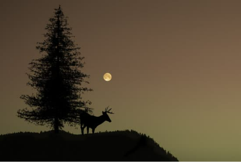 DEER MACE REPELLENT