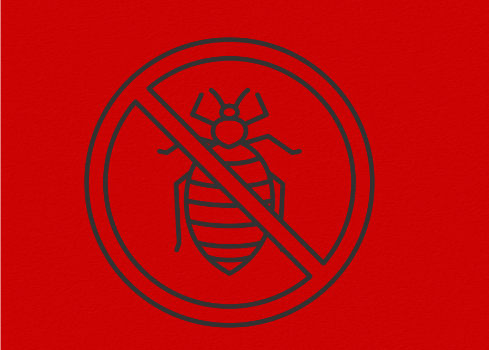 BED BUG REPELLENT KILLER