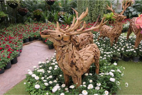 DEER REPELLENT FOR PLANTS