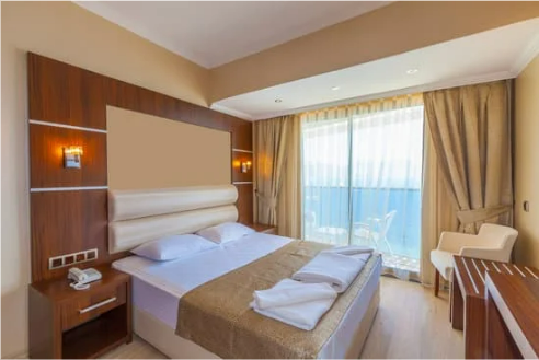 Bed Bug Spray for Hotels