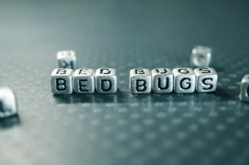 GOOD BED BUG KILLER