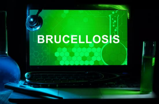 BEG BUGS AND DISEASE