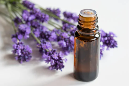 Are essential oils the best mice deterrents?