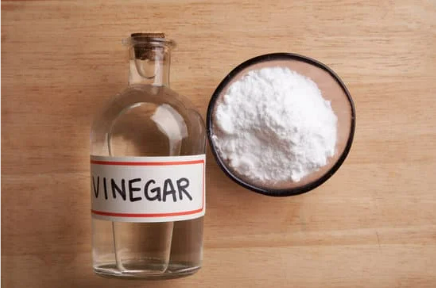 Should you use vinegar as a snake repellent?