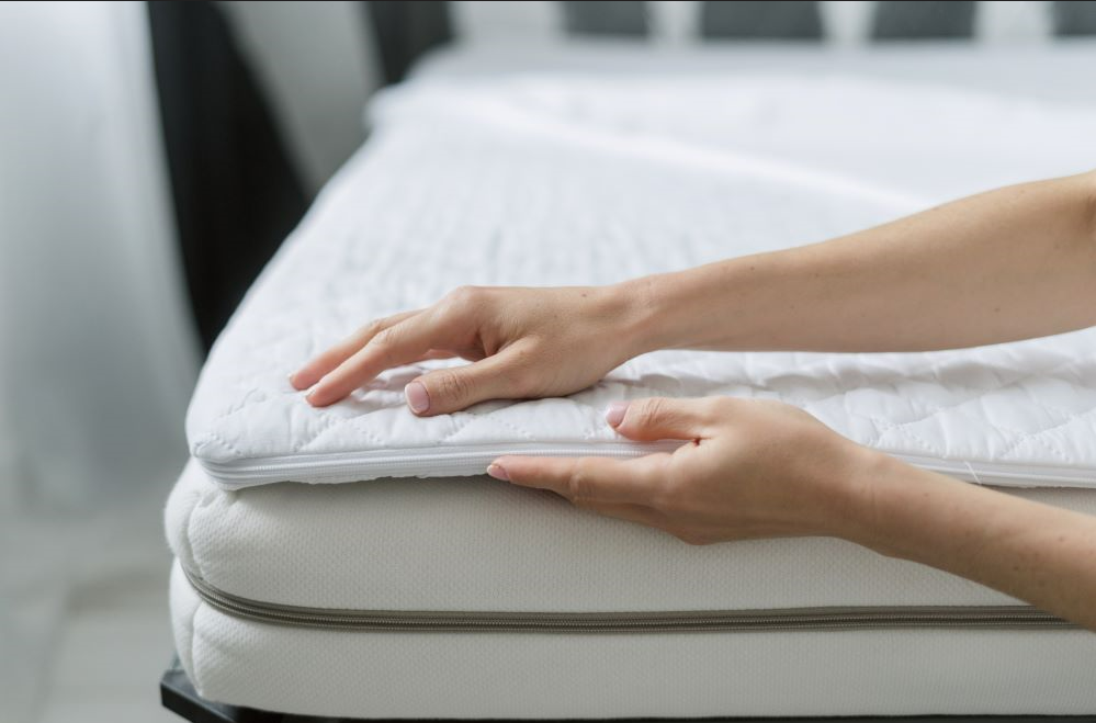 How to Identify Bed Bugs