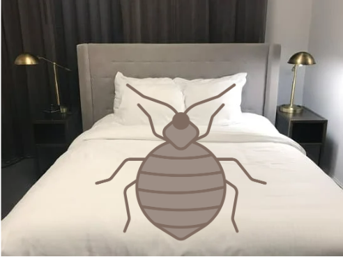 BEST BED BUG REPELLENT SPRAY
