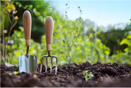 What is the best organic garden pest control?