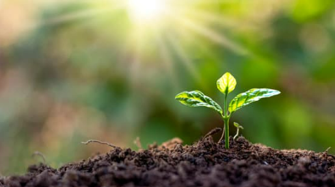 HOW DOES MILORGANITE WORK