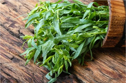 DEER RESISTANT VEGETABLES