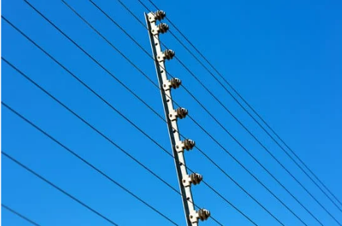 ELECTRONIC DOG AND CAT REPELLENT