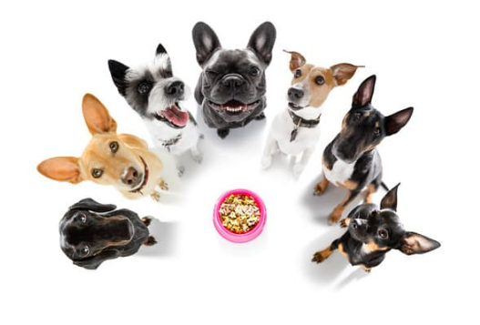 DOG REPELLENT GRANULAR