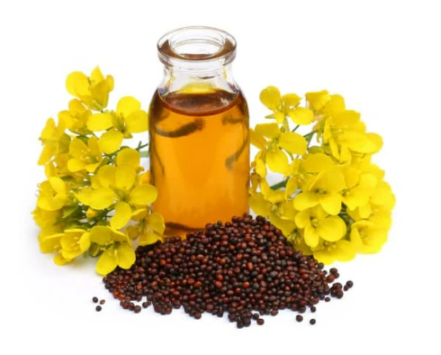 Is mustard oil a good dog repellent for lawns?