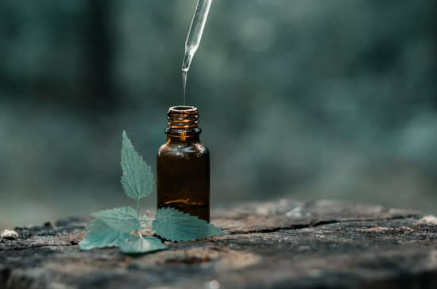 Are essential oils the best cat counter deterrent?
