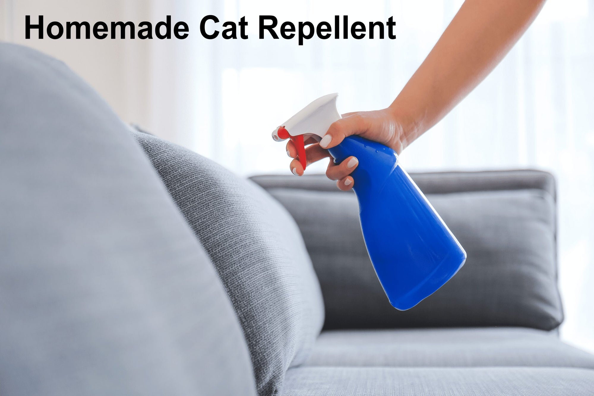 Homemade Cat Repellent