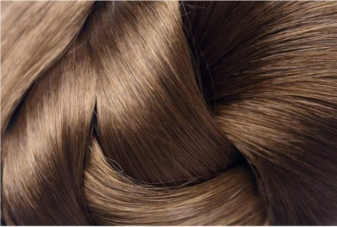 CAN BED BUGS LIVE IN YOUR HAIR