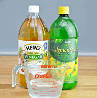 Chemical free flea bite home remedies