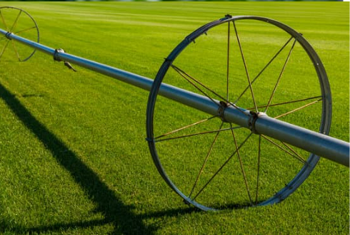 DEER REPELLENT FOR COMMERCIAL FARMING