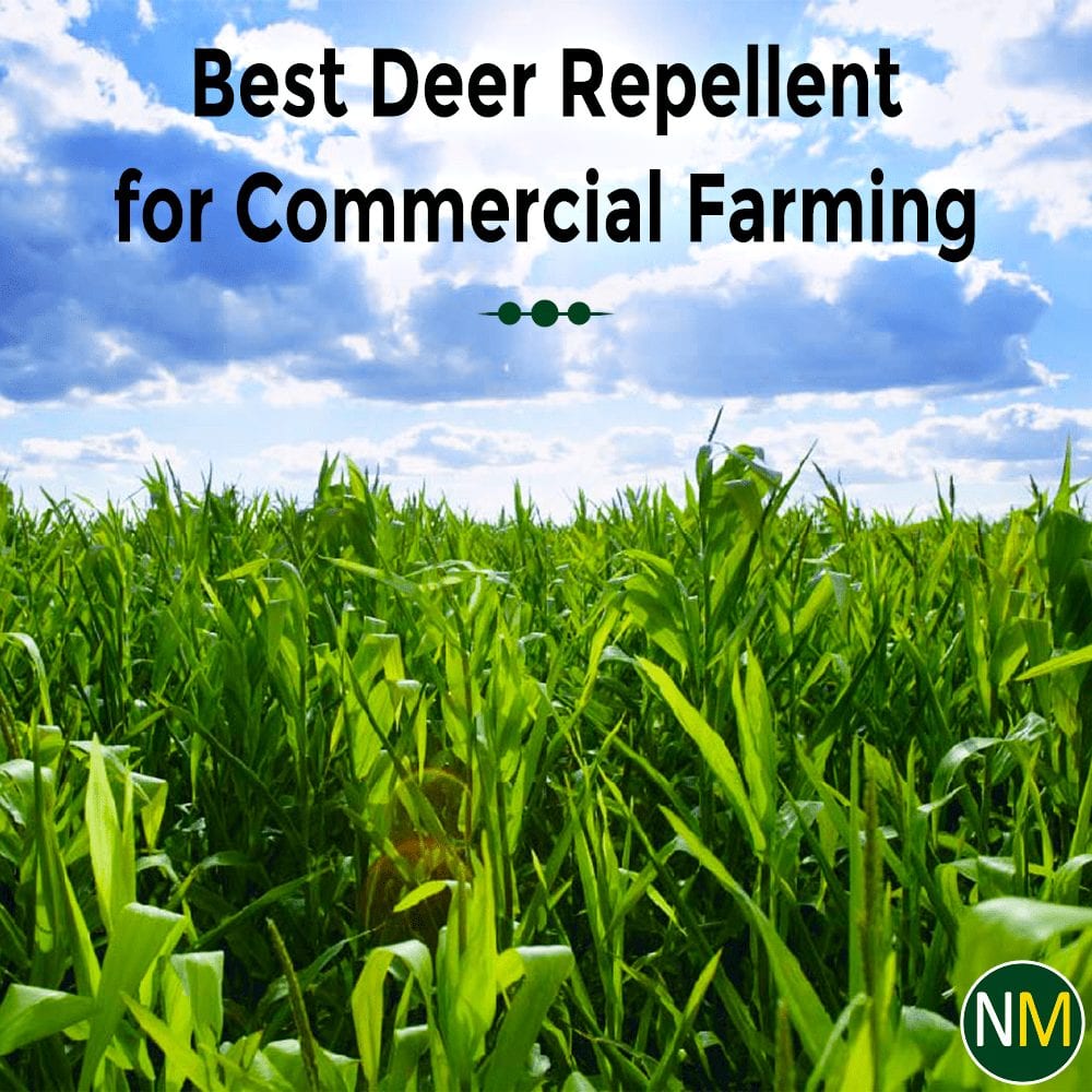 Deer repellent for commercial farm