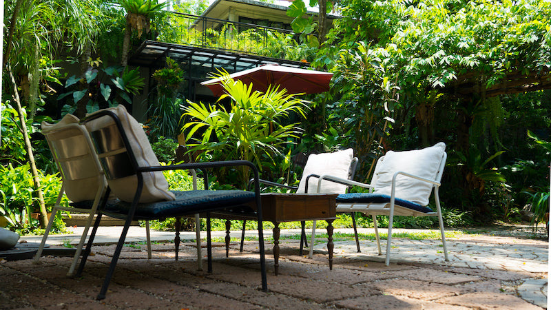 Do you really need a pet furniture protector