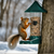  Effective Bird Feeders That Keep Squirrels Out