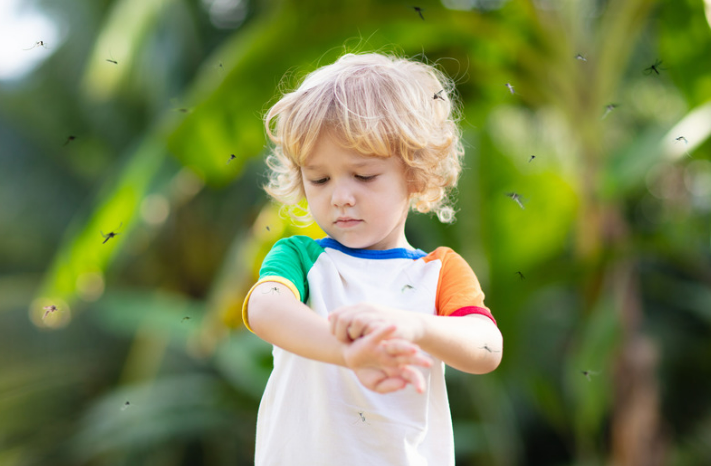 Effective Natural Mosquito Repellent