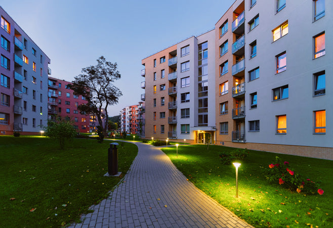 How do you check apartment for bed bugs?