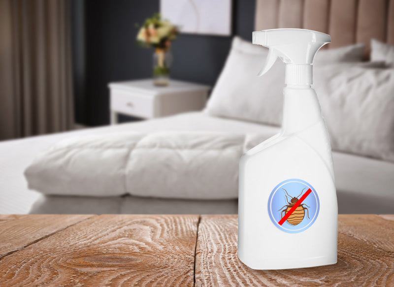 How long do bed bugs live after spraying?