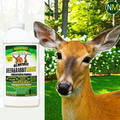 Natural Deer Repellents
