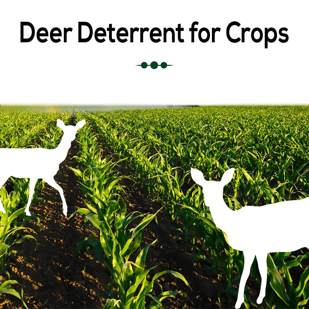Deer Deterrent for Crops