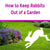 How to keep rabbits out of a Garden