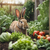 Rabbit Deterrent Strategies for Gardens