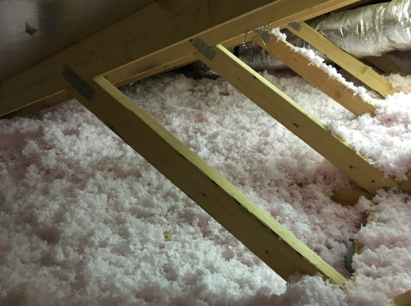 Banish Squirrels from Your Attic