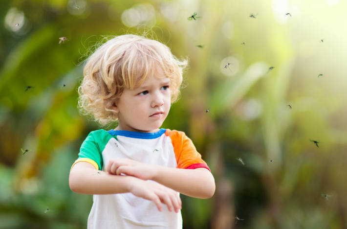 Uncover the Best Mosquito Repellent