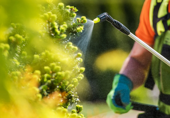 Unlock the Power of Natural Insecticides