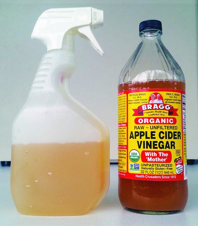 Does Apple Cider Vinegar Kill Fleas?