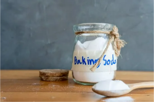 Does Baking Soda Kill Fleas?