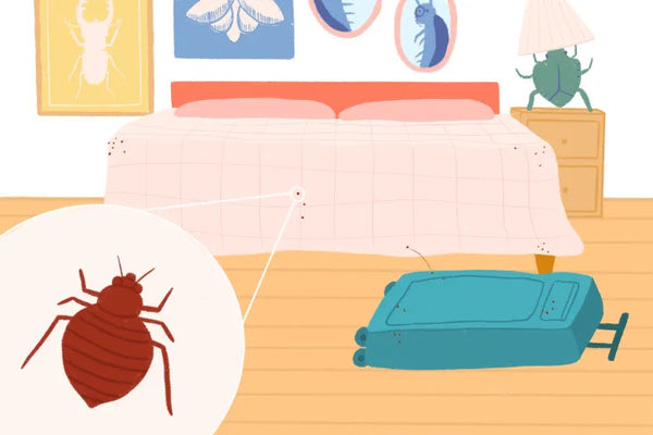 Tips for Traveling to Avoid Bed Bugs