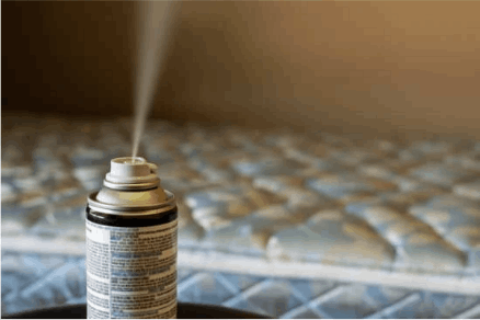 Is there any bed bug spray that really works?