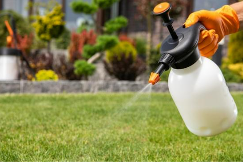 Insect Repellent for Home