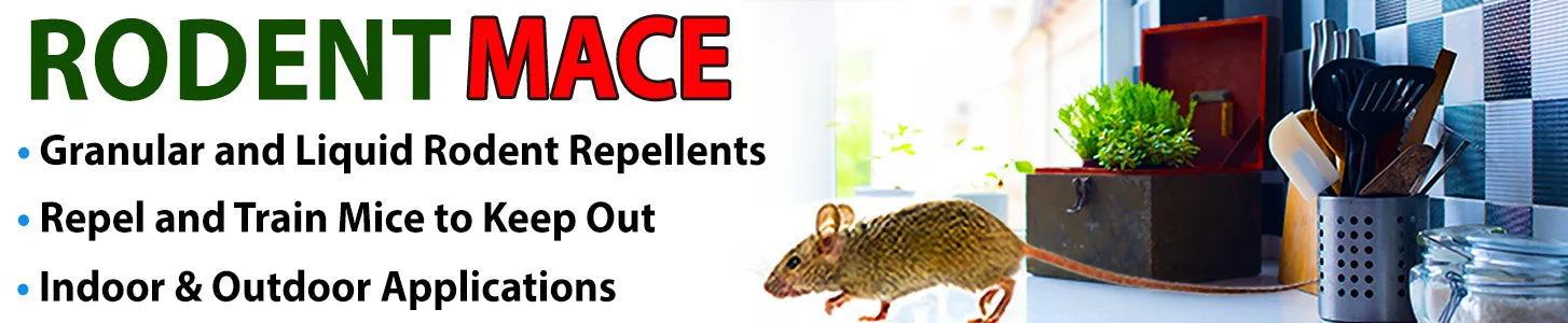 Shoo it yourself: When mice invade, you can repel