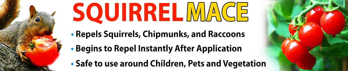 Nature's MACE Squirrel MACE Squirrel Repellent