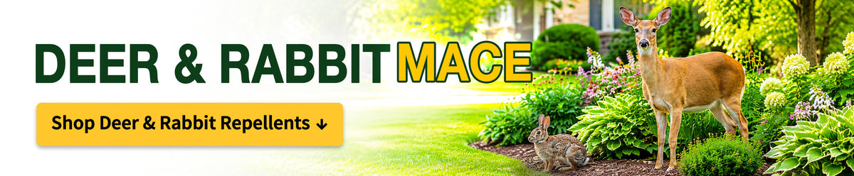 Deer & Rabbit MACE - shop deer and rabbit repellents. Deer and rabbit beside a landscaped home garden.