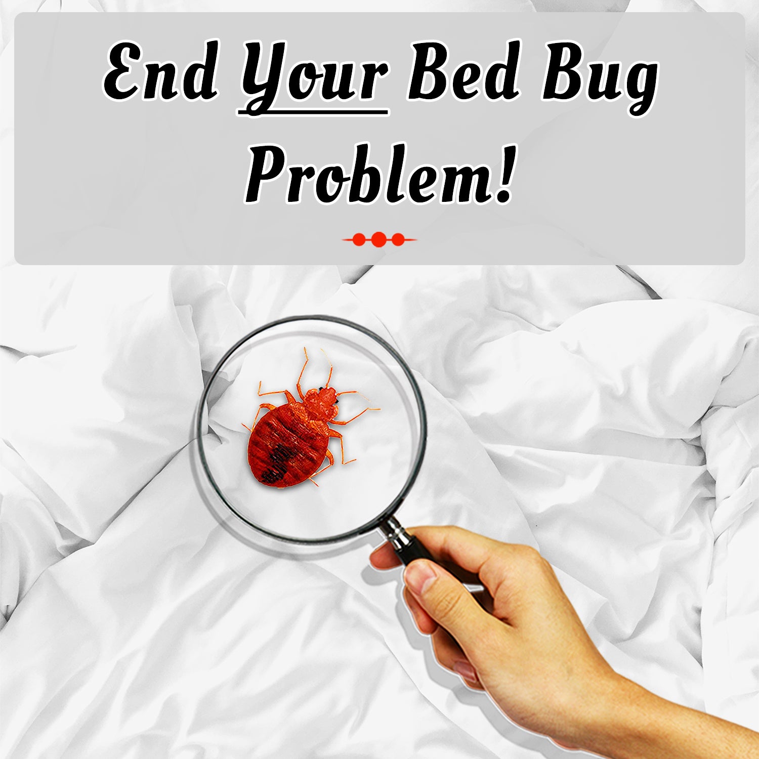 Natural bed bug killer