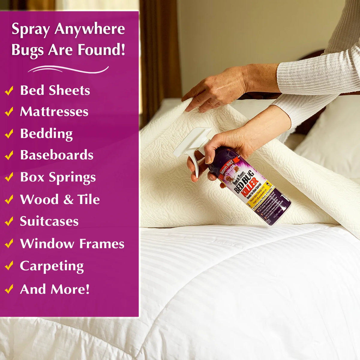 Nature's MACE Bed Bug Killer, where bugs are founds