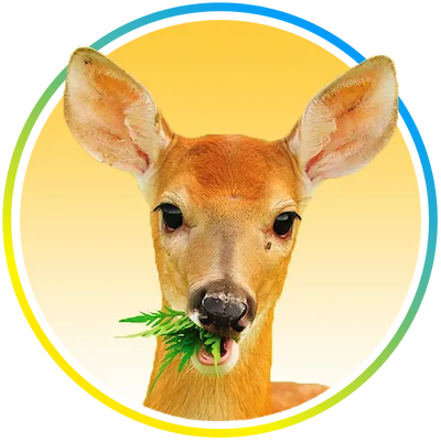 Nature's MACE Deer Repellent